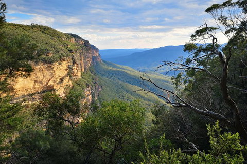 Blue Mountains Day Tour With Wildlife At Sunset From Sydney - Book Restaurant 5