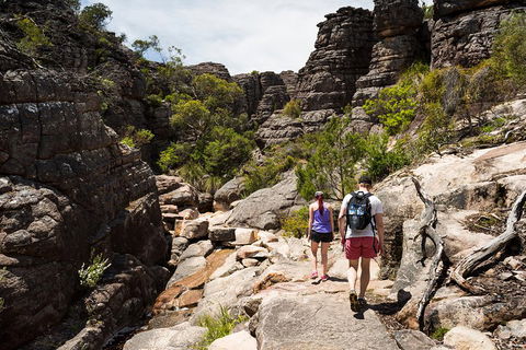 Grampians National Park With Kangaroos And MacKenzie Falls From Melbourne - Book Restaurant 3