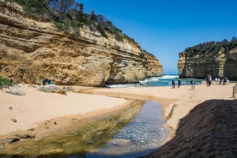 Great Ocean Road Reverse Itinerary With 12 Apostles From Melbourne - Book Restaurant 2