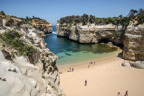 Great Ocean Road Reverse Itinerary With 12 Apostles From Melbourne - Book Restaurant 5