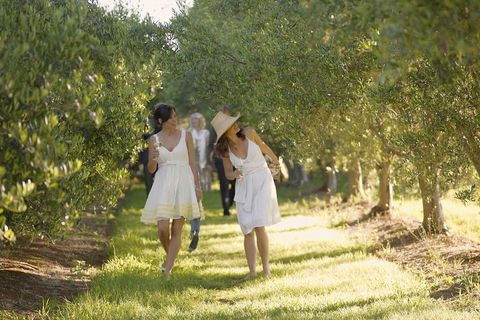 Yarra Valley Wine Tour With Local Harvest Tastings From Melbourne - Book Restaurant 0