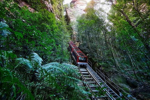Blue Mountains Private Tour With Kangaroos & Koala Encounter - Book Restaurant 1