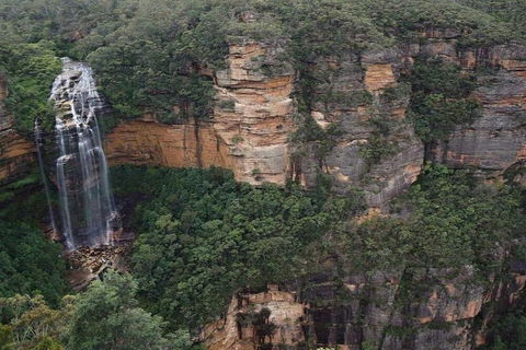 Blue Mountains Private Tour With Kangaroos & Koala Encounter - Book Restaurant 2