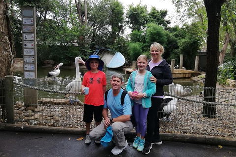 Blue Mountains Private Tour With Kangaroos & Koala Encounter - Book Restaurant 4