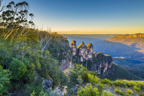 Blue Mountains Private Tour With Kangaroos & Koala Encounter - Book Restaurant 5