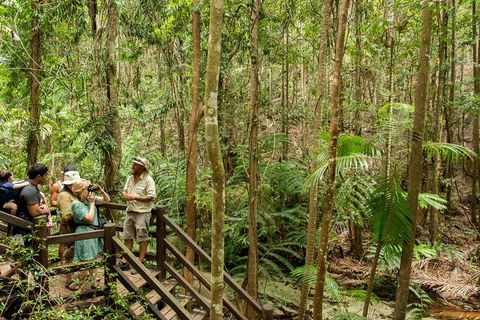 Fraser Explorer K'gari 2-Day Tour - Book Restaurant 5