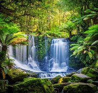 Day Tour in Mt. Field Mt. Wellington Bonorong Wildlife Sanctuary and Richmond - Book Restaurant