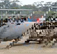 Off-Road Safari at Werribee Open Range Zoo - Book Restaurant