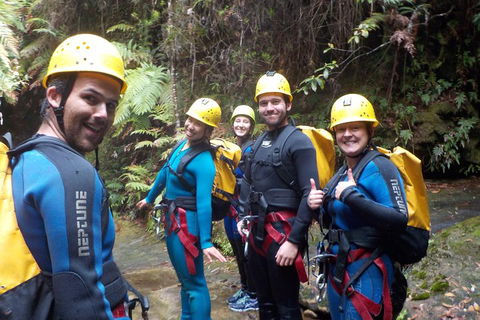 Full-Day Canyoning Experience At Stunning Empress Canyon - Book Restaurant 1