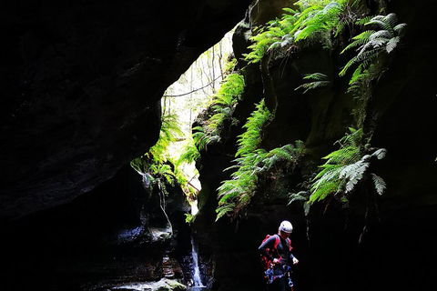 Full-Day Canyoning Experience At Stunning Empress Canyon - Book Restaurant 2
