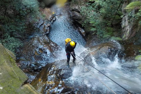 Full-Day Canyoning Experience At Stunning Empress Canyon - Book Restaurant 4