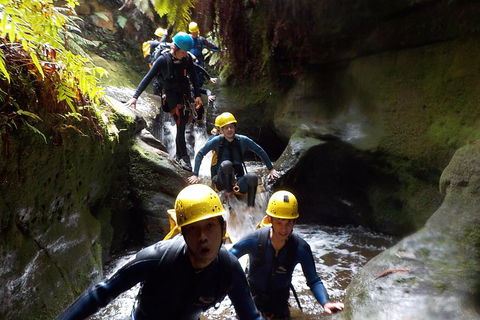 Full-Day Canyoning Experience At Stunning Empress Canyon - Book Restaurant 5