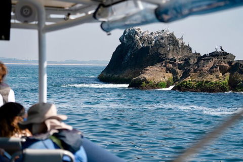 Julian Rocks Byron Bay Cruise - Book Restaurant 2