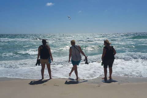 Very Best Of Perth Tour - Wildlife Park & City Highlights Tour - Book Restaurant 5
