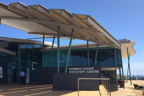 Phillip Island Penguin And Koala Highlights Day-Trip From Melbourne - Book Restaurant 1