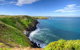 Phillip Island Penguin And Koala Highlights Day-Trip From Melbourne - thumb 5