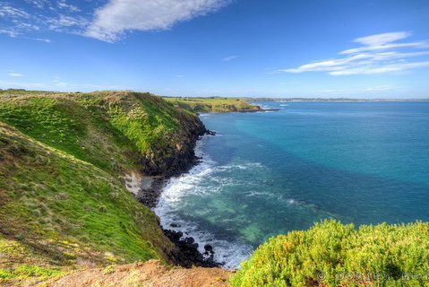 Phillip Island Penguin And Koala Highlights Day-Trip From Melbourne - Book Restaurant 5