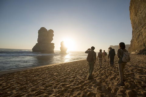 Small-Group Sunset Great Ocean Road Chocolaterie Tour From Melbourne - Book Restaurant 1
