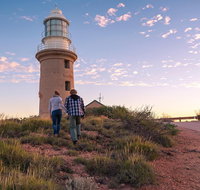 6-Day Coral Coaster from Perth to Exmouth One-Way via Monkey Mia Ningaloo Reef - Book Restaurant