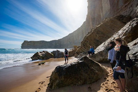 2-Day Melbourne To Adelaide Tour: Great Ocean Road And Grampians One Way Trip - Book Restaurant 1