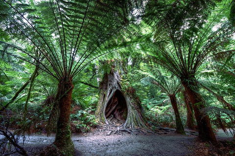 2-Day Melbourne To Adelaide Tour: Great Ocean Road And Grampians One Way Trip - Book Restaurant 3