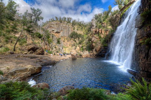 Melbourne To Adelaide South East Coast 3 Day Overland Tour - Book Restaurant 4