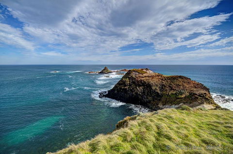 Small-Group Phillip Island Day Trip From Melbourne With Penguin Plus Viewing - Book Restaurant 0
