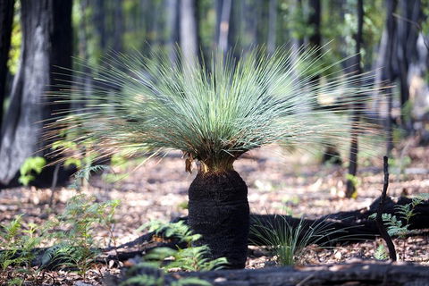 Small-Group Grampians Great Wilderness Escape Day Trip With Hiking - Book Restaurant 2