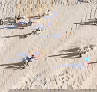 Unlimited Sandboarding - Book Restaurant