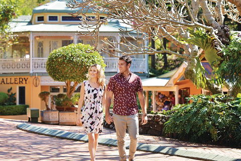 Sunshine Coast Hinterland Rainforest, Views And Montville Day Tour Inc. Lunch - Book Restaurant 4