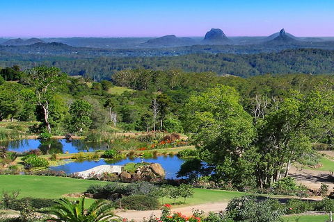Sunshine Coast Hinterland Rainforest, Views And Montville Day Tour Inc. Lunch - Book Restaurant 5