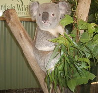 Blue Mountains Private Full-Day Tour from Sydney with Cruise - Book Restaurant
