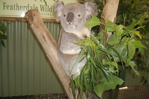 Blue Mountains Private Full-Day Tour From Sydney With Cruise - Book Restaurant 0