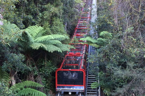 Blue Mountains Private Full-Day Tour From Sydney With Cruise - Book Restaurant 5