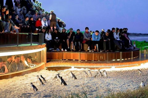 Great Ocean Road & Phillip Island - 3 Days, 2 Nights - Book Restaurant 0