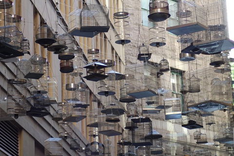 Sydney Scavenger Hunt: Inside Sydney - Book Restaurant 0