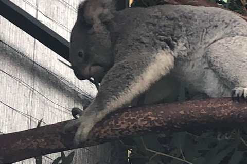 Perth Hills - Wildlife, Art & Gastronomy - Book Restaurant 3