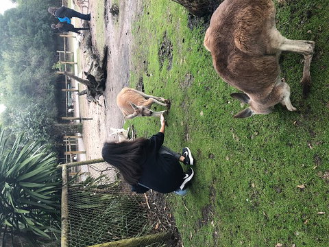 Perth Hills - Wildlife, Art & Gastronomy - Book Restaurant 4