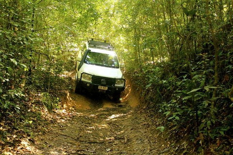 Barron Gorge And Kuranda National Park Half Day Rainforest And Waterfall 4WD Tour From Cairns - Book Restaurant 2