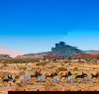 Alice Springs Camel Tour - Book Restaurant