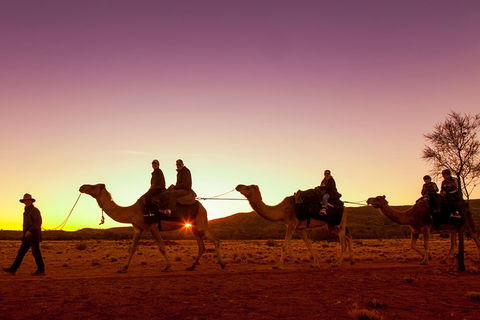 Alice Springs Camel Tour - Book Restaurant 4