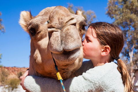 Alice Springs Camel Tour - Book Restaurant 5