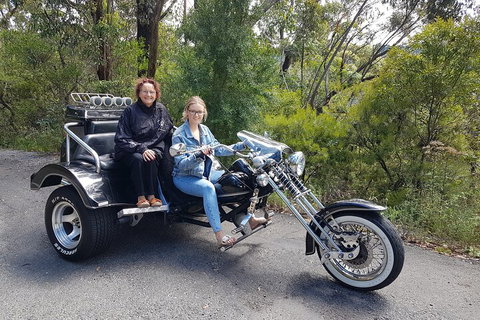 Blue Mountains 1-Hour Trike Tour Of Three Sisters - Book Restaurant 1