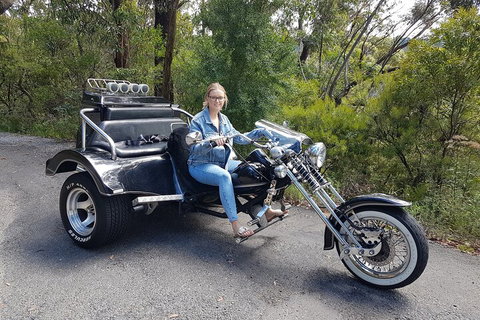 Blue Mountains 1-Hour Trike Tour Of Three Sisters - Book Restaurant 4