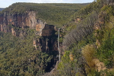 Blue Mountains 1-Hour Trike Tour Of Three Sisters - Book Restaurant 5