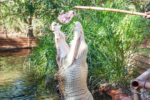 3 In 1 Tour: Matsoâ€™s Brewery, Broome Museum & Malcolm Douglas Crocodile Park - Book Restaurant 3