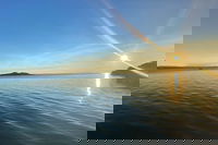 Book Viator Accommodation Vacations Book Restaurant Book Restaurant