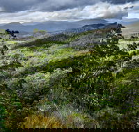 3-Day Tour to the Falls Mountains Lake  More of West Coast Tasmania - Book Restaurant