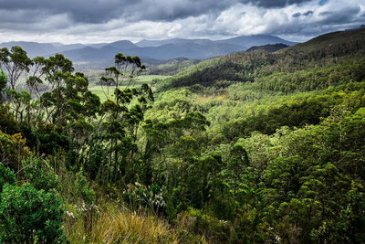 3-Day Tour to the Falls Mountains Lake  More of West Coast Tasmania