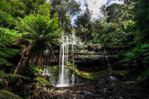 3-Day Tour To The Falls, Mountains, Lake & More Of West Coast Tasmania - Book Restaurant 4